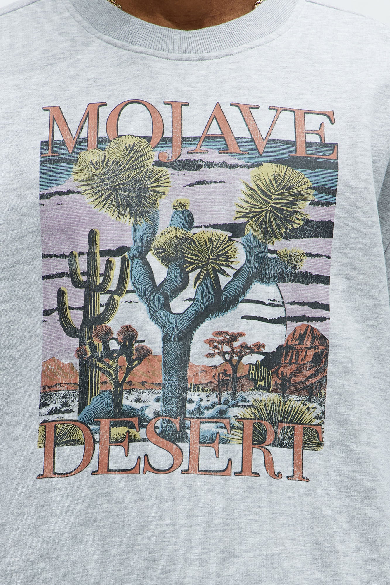 Tyson Mojave Desert Crewneck Sweatshirt - Heather Grey - Image 3
