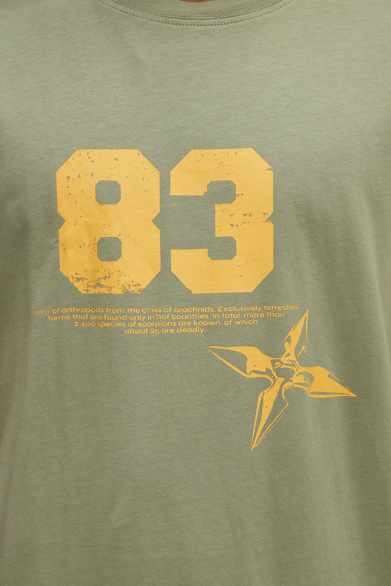 Fearless 83 Oversized Short Sleeve Tee - Olive - Image 4